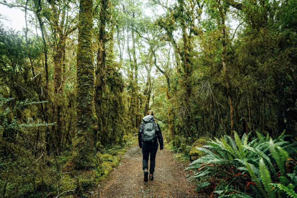Young woman walking through mossy forest on Milford Track