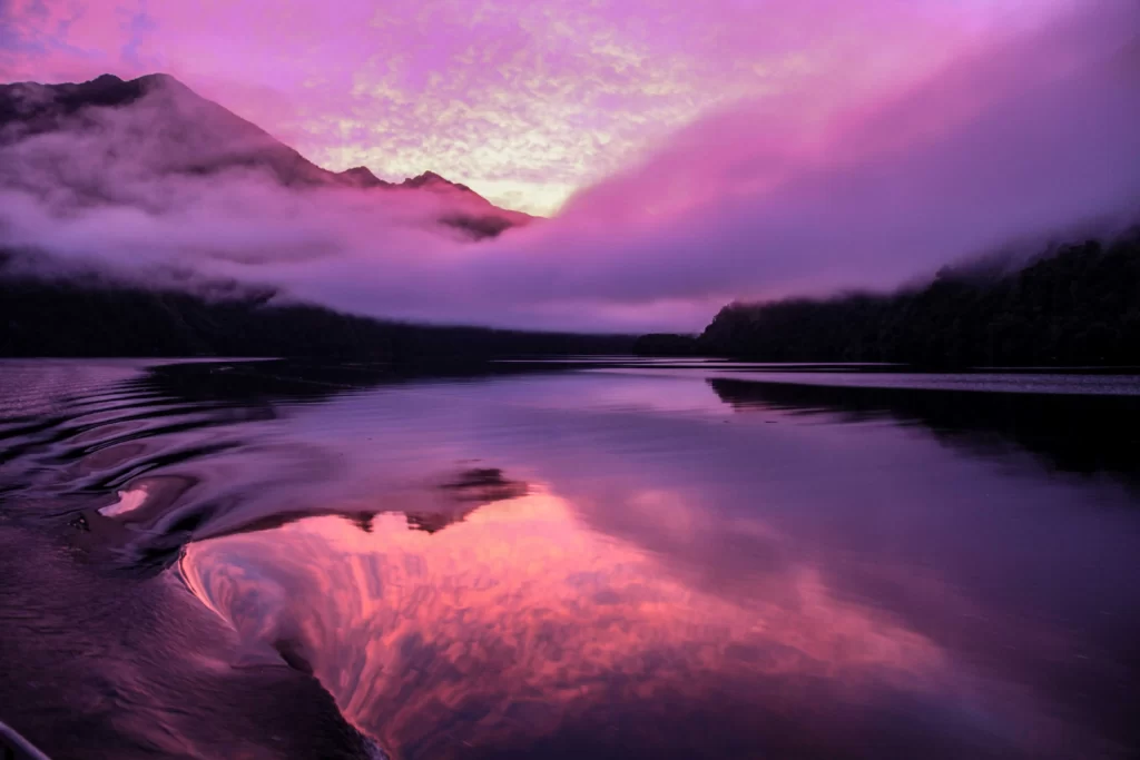 Foggy pink sunrise in Doubtful Sound, Fiordland