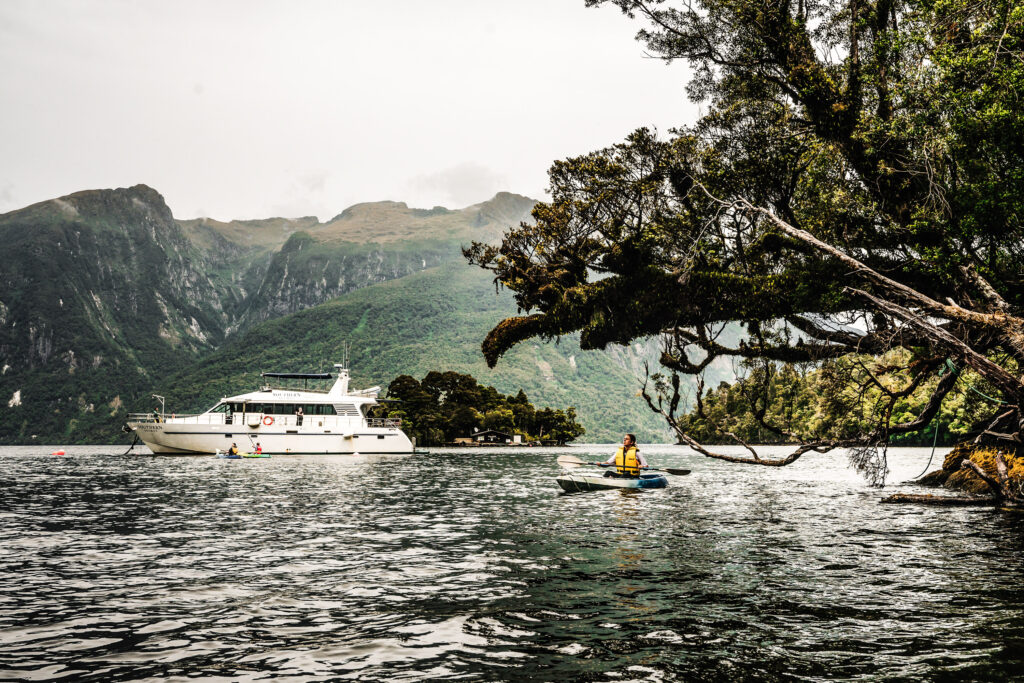 Southern Secret boat in Doubtful Sound